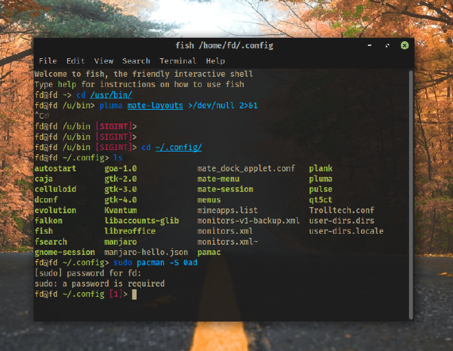 Theme Terminal